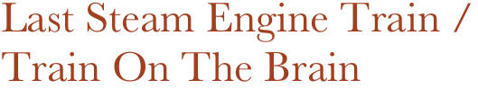 Last Steam Engine Train /
Train On The Brain